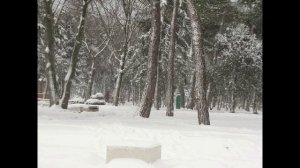 Следующая станция АНАПА