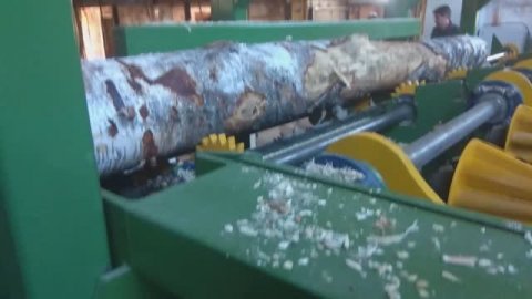 Брусовальный станок. Распиловка березы