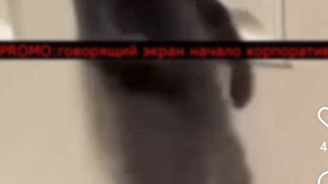 Корпоратив.Экран.