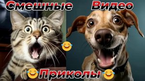 Смешные видео приколы|Коты и собаки|Юмор и Приколы.