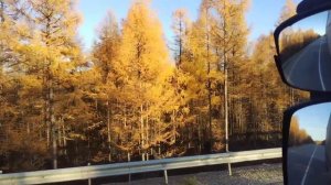 ЛД: Тында коробке