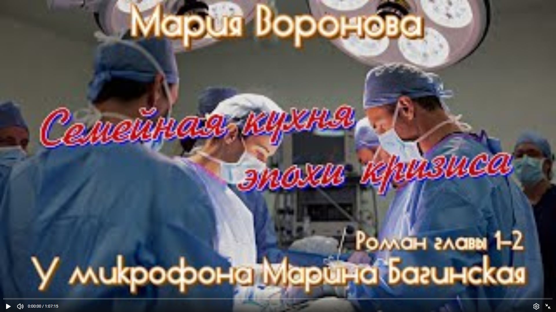 Мария Воронова _Семейная кухня эпохи кризиса_ роман главы 1-2 У микрофона Марина Багинская