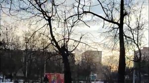 ПРИСМОТРЕЛ ПОДАРКИ, СКОРО БУДЕТ ЁЛКА, (прогулка продолжается)