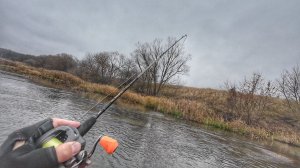 ЩУКА ОСЕНЬЮ НА СПИННИНГ. МНОГО поклевок ЩУКИ на воблер. Рыбалка на спиннинг.