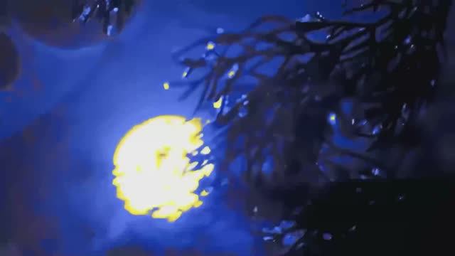 Откровения Светланы Левашовой. (документальный фильм) 4К смотреть онлайн