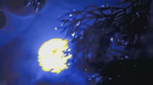 Откровения Светланы Левашовой. (документальный фильм) 4К