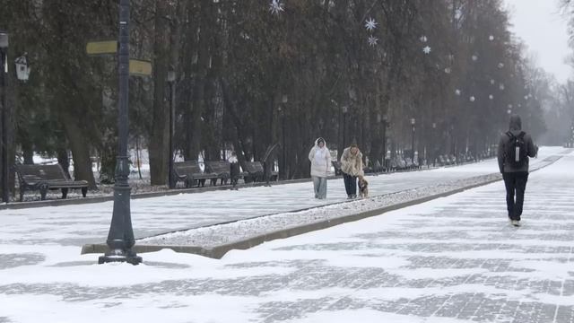 7 Дней 14/12/2025