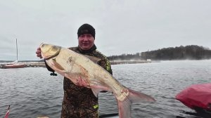 Как проходит подводная охота: взгляд изнутри