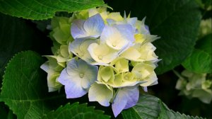 просто типо музычка может понадобится кому