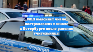 МВД выясняет число пострадавших в школе в Петербурге после ранения учительницы