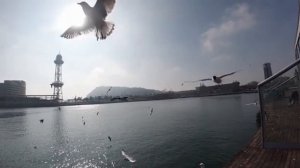 Спасибо Господи за всё🙏🙏🙏