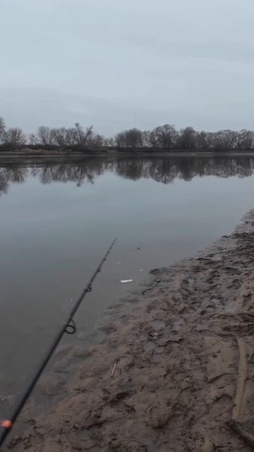 Рыбалка на спиннинг ловля хищника смотреть онлайн