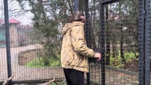 Анфиса приехала в гости к Люсе и умудряется ОГРЫЗАТЬСЯ со Степой через решетку!