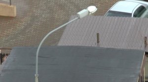 Вот такая вот зима с зелеными деревьями..