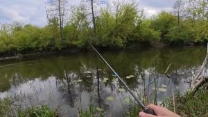 НЕ ЗРЯ ОСТАЛСЯ РЫБАЧИТЬ В ДОЖДЬ ДО ПОЗДНЕГО ВЕЧЕРА! Рыбалка в красивом и спокойном месте.