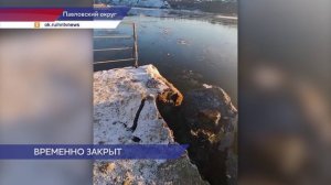 В Павловском округе сорвался понтонный мост через Оку