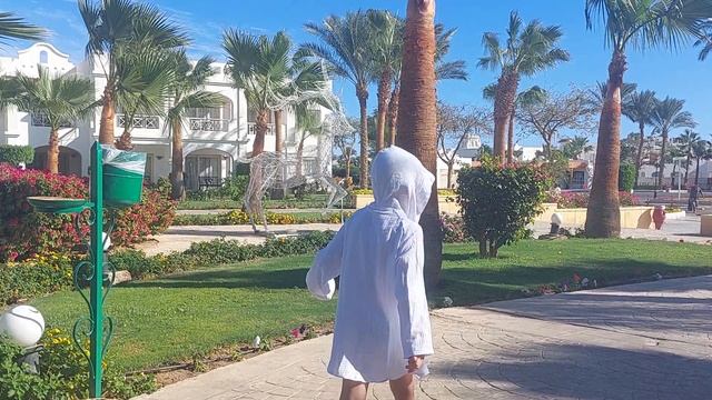 Едим на обед