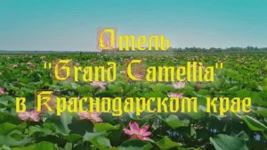 Отель «Grand Camellia» в Краснодарском крае