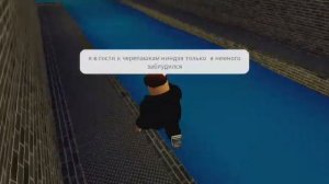 Я хотел попасть в гости к черепашкам ниндзя но я немного заблудился.