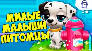 😍МИЛЫЕ малыши ПИТОМЦЫ😍Котики и песики😍 FLOOF