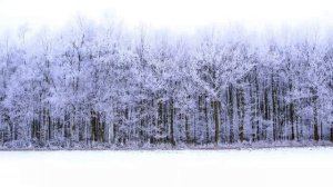 Гороскоп на понедельник 15 декабря. Встречайте перемены.