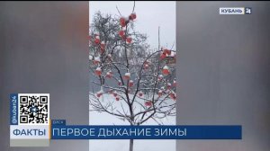 Синоптики прогнозируют ясную и сухую погоду с середины недели на Кубани