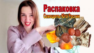 Окаменелое дерево. Как отличить яшму от кремня. Как работают минералы. Минералы с лесным ароматом