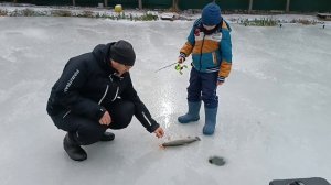 Первая поимка форели со льда  в новом сезоне. 15.12.2025.