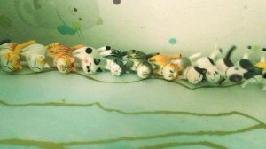 Вот так и всё