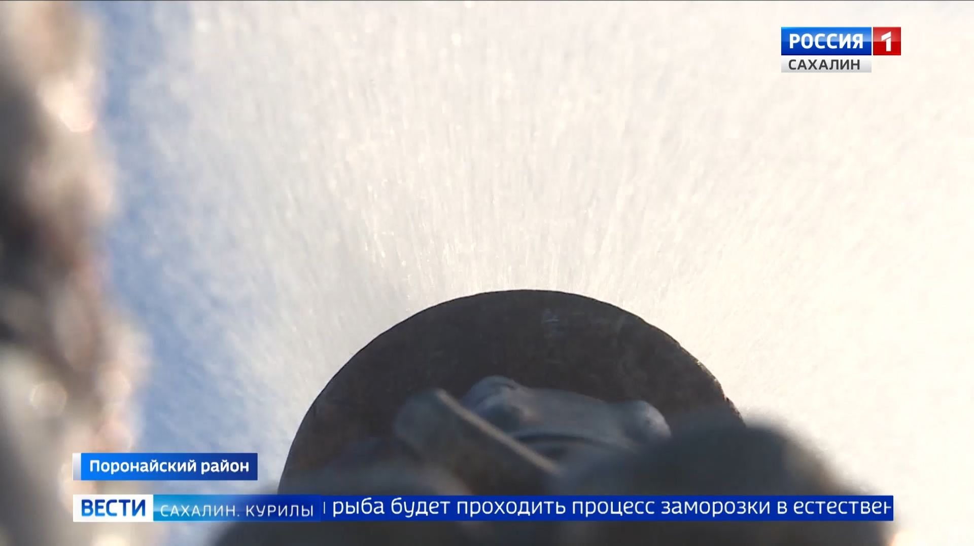 "Вести. Сахалин. Курилы". 12 декабря 2025 года смотреть онлайн
