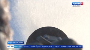 "Вести. Сахалин. Курилы". 12 декабря 2025 года