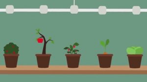 SCP-1100 - Кровь Земли (Объяснение SCP)