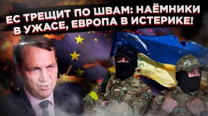 Раскол, истерика и разбегающиеся «легионеры»: европейский проект гниёт с концов!