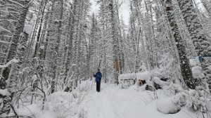 Пропавшие в Пермском крае туристы не регистрировали маршрут в МЧС