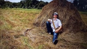 Тишины хочу