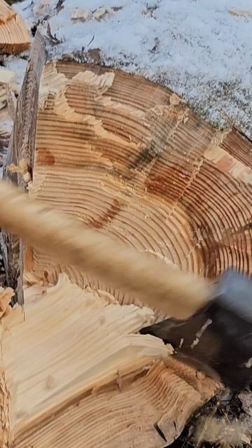 "Онежский" валочник по сучкам. смотреть онлайн