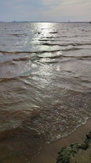 Пляж Парка Острова Фортов. Кронштадт 2025