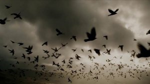 За окном...mp4