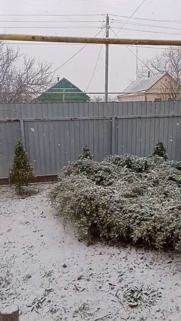 Эхх…. Зима🥺 #shorts #зима #краснодарскийкрай #снег