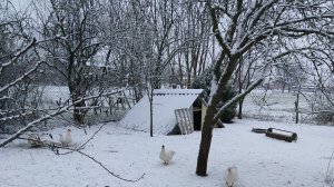 Первый снег. Ремонт на кухне. Жизнь станичная на пенсии.