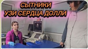 САМВЕЛ АДАМЯН, СЫТНИКИ, УЗИ СЕРДЦА ДОЛЛИ 🐈⬛