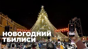 В Тбилиси открылся новогодний городок и зажглись огни на главной елке страны