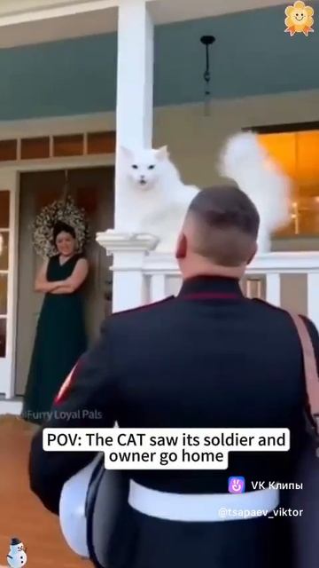 Приколы с животными