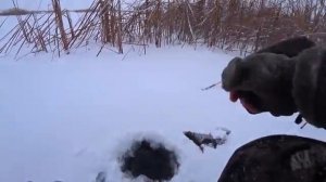 Зашёл на ОПАСНЫЙ ЛЁД, и КАБАН С ПЕРВОЙ ЛУНКИ!! Рыбалка В МЕТЕЛЬ на деревенском БОЛОТЕ!!