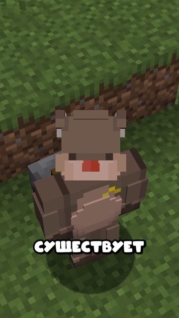 Мод Добавит Камень-питомец в Майнкрафт! смотреть онлайн