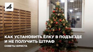 Как установить ёлку в подъезде и не получить штраф. Советы юриста