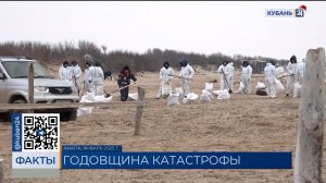 Год спустя: что сделано со дня крушения танкеров и разлива мазута в Черном море