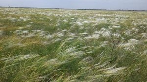 Кочевая жизнь #Иран# 78 часть