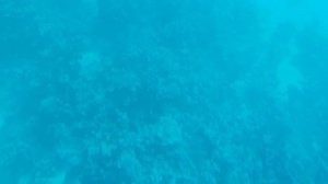 Путешествие в батискафе интересное и увлекательное  , полное надежд увидеть что то  необычное .