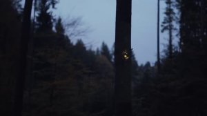 Это, в общем фельетон